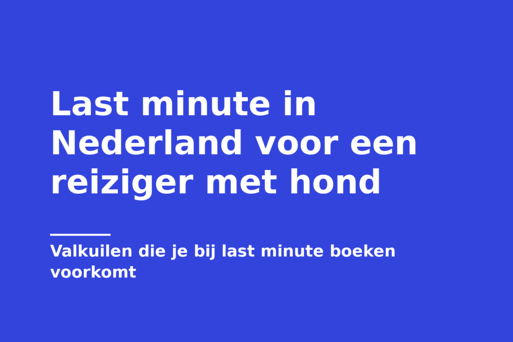 Last minute in Nederland voor een reiziger met hond