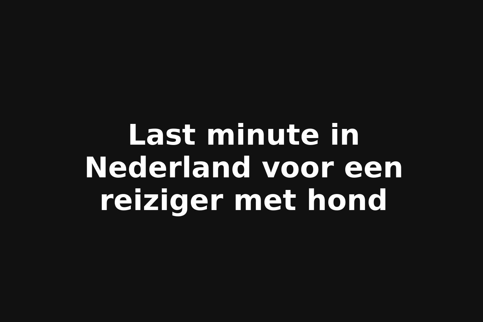 Last minute in Nederland voor een reiziger met hond