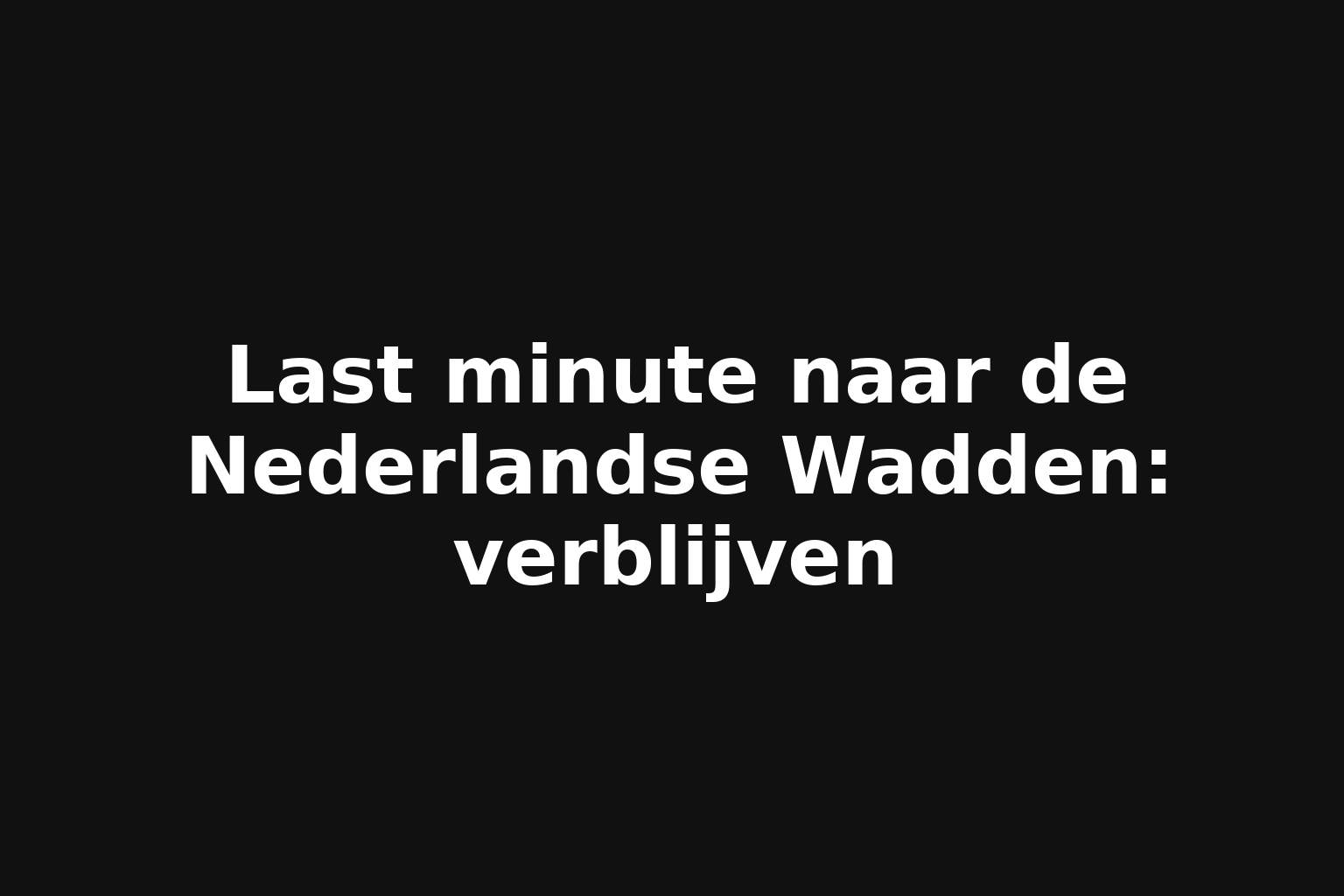 Last minute naar de Nederlandse Wadden: verblijven