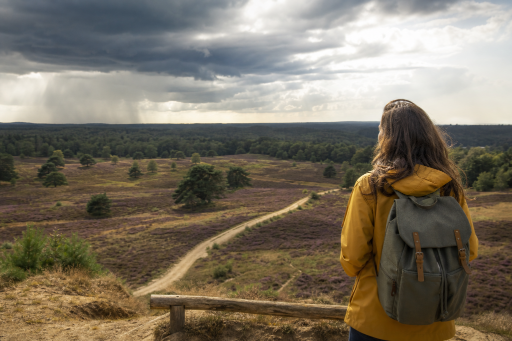 Last minute verblijf bij Nationaal Park De Sallandse Heuvelrug