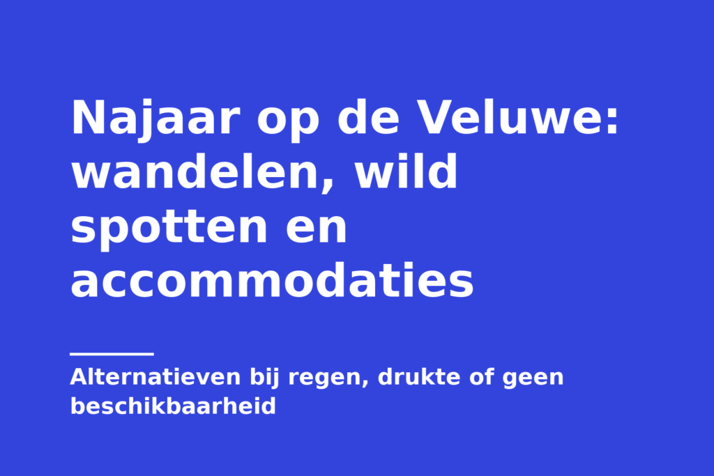 Najaar op de Veluwe: wandelen, wild spotten en accommodaties