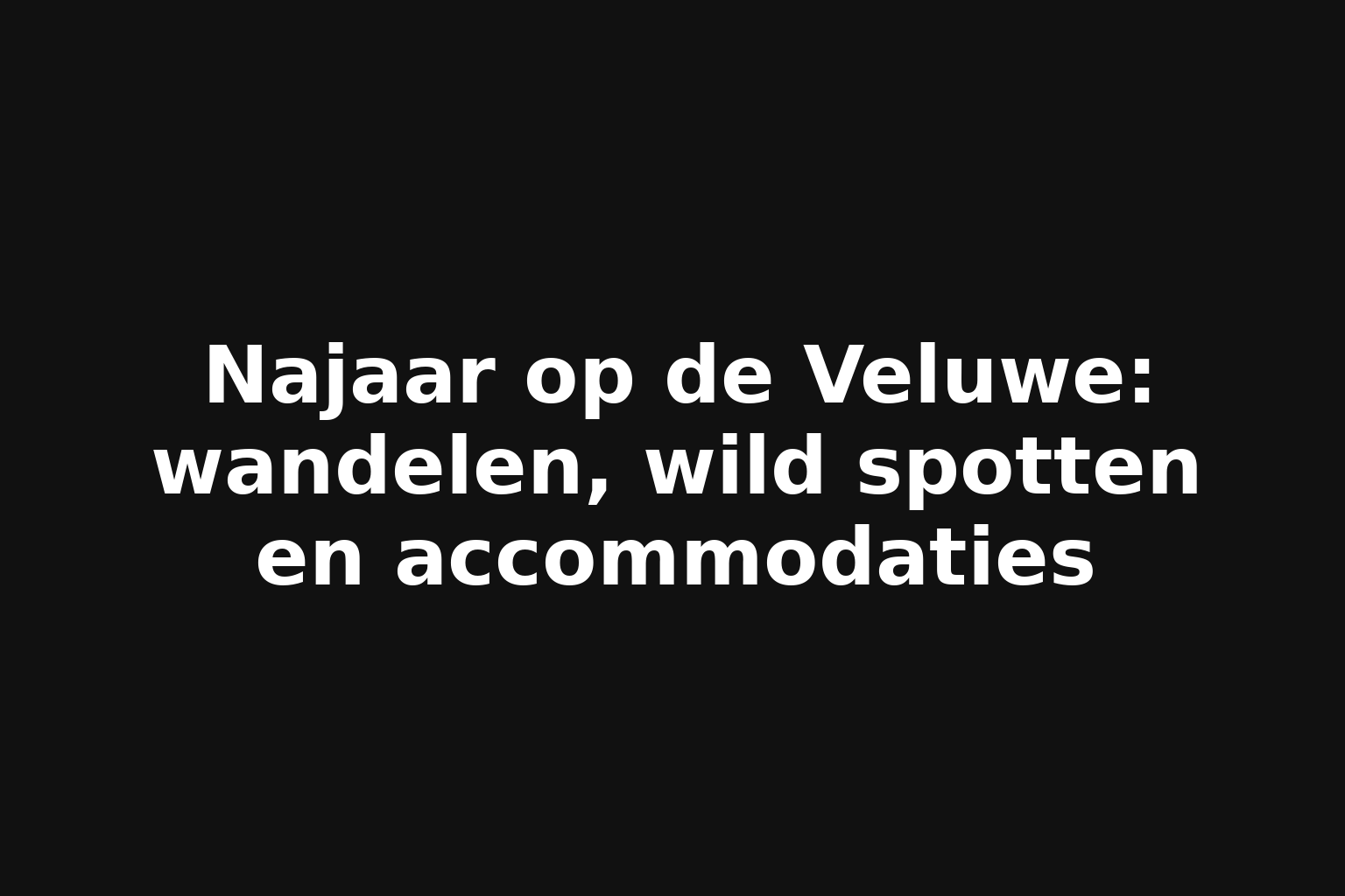 Najaar op de Veluwe: wandelen, wild spotten en accommodaties