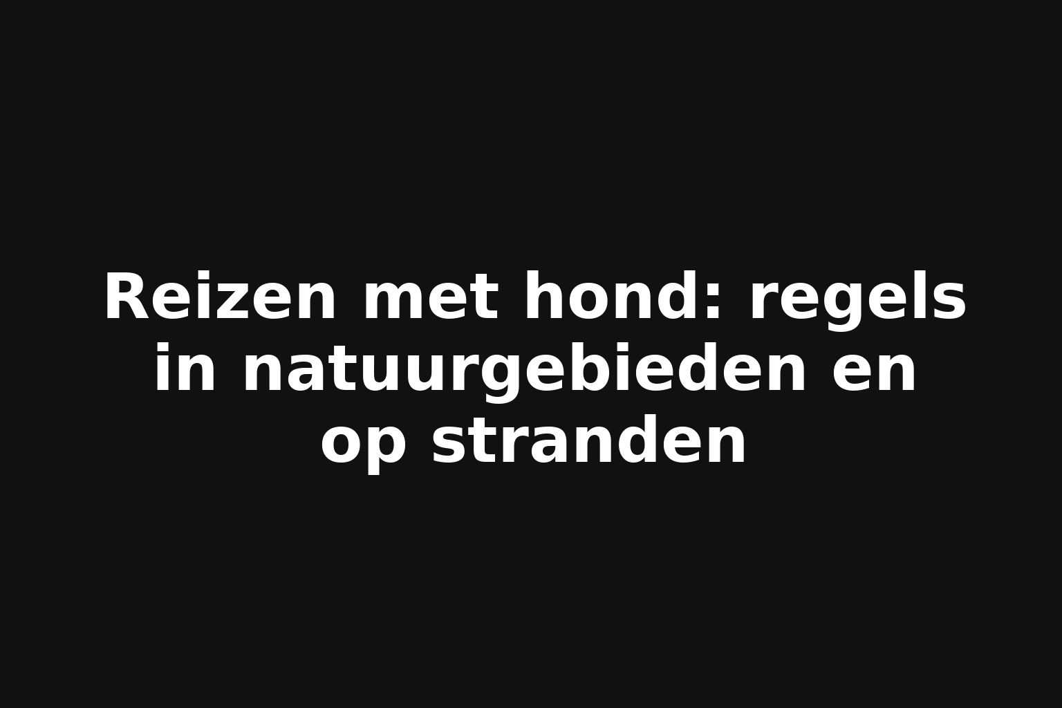 Reizen met hond: regels in natuurgebieden en op stranden
