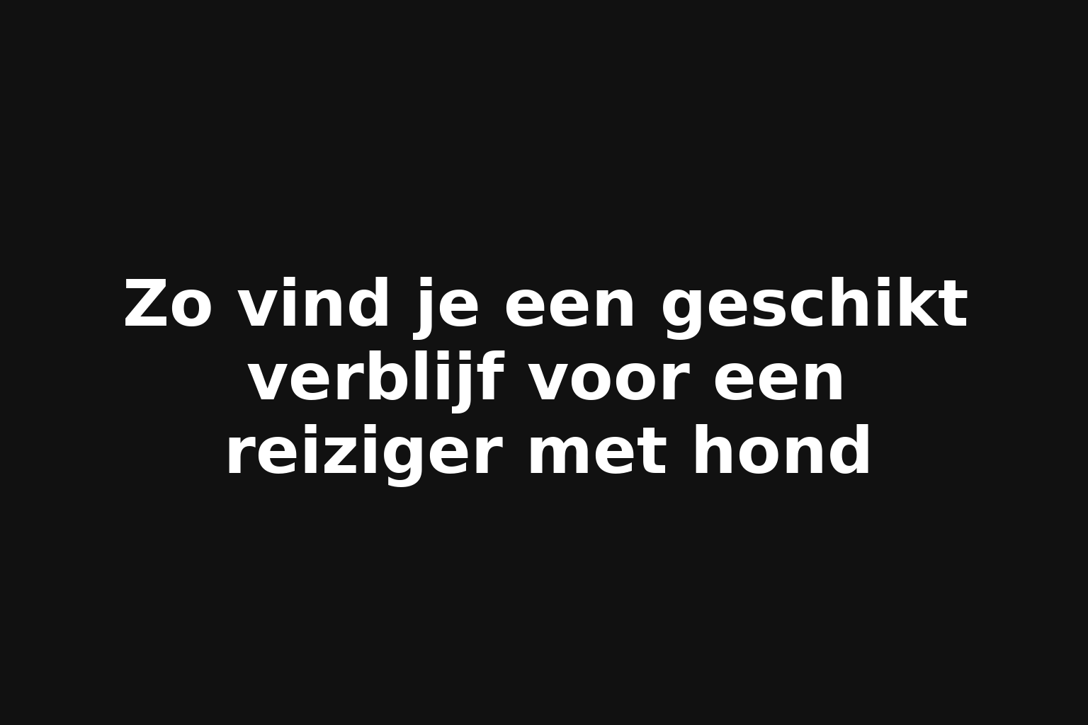Zo vind je een geschikt verblijf voor een reiziger met hond